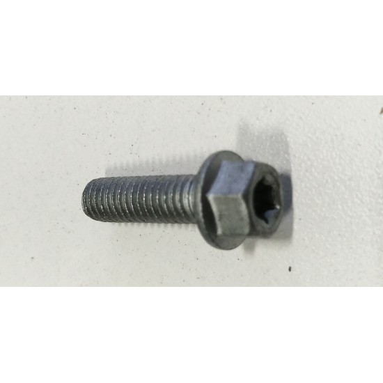TENSIONNER PLATE BOLT FOR CHIRONEX BANDITO